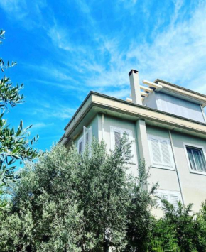 Son Bunyola Villa